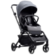 Hamilton T1