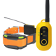 Dogtra Pathfinder 2