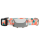 Maven Dog Health Tracker