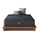 Beautyrest World Class