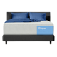 Casper Dream Max