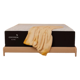Cocoon Chill Hybrid