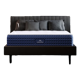 DreamCloud Luxury
