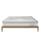 FlexiSpot Plus Hybrid