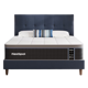 FlexiSpot Premier Hybrid
