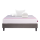 Juno Mattress