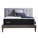 Lucid Premium