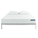 Molecule Core