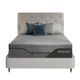 Molecule Engage Pro