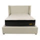 Nolah Evolution Comfort+