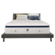 PlushBeds Arctic Bliss
