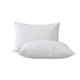 PlushBeds Feather 