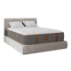 PlushBeds Kathy Ireland