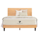 PlushBeds Savvy Bliss