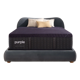 Purple Rejuvenate