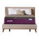 Purple RestorePremier Hybrid