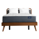 Serta Perfect Sleeper
