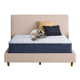 Serta Sleeptrue