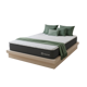 Sleepyhead First Edition