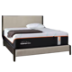 Tempur-Pedic ProAdapt