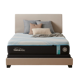 Tempur-Pedic Probreeze 2.0
