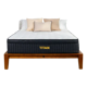 Titan Plus Luxe