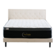 Twinkle Comfort LUXE