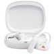 JBL Endurance Zone