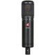 sE Electronics sE2200