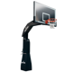 Spalding Arena Renegade