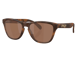 Oakley Frogskins S