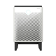 Coway Airmega 300S