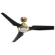 Hunter Eula