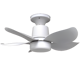 Rackora Mango 5-Blade