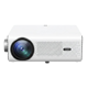 VANKYO Leisure 495W