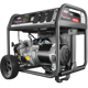 Briggs & Stratton Storm Responder