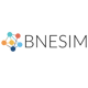 BNESIM