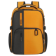 Samsonite BIZ2GO