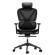 Autonomous ErgoChair X