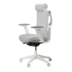 Desktronic SitPro 