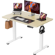 ergear Standing Desk 