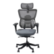 FlexiSpot C7 Max