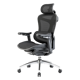Sihoo C300