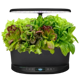 AeroGarden Bounty