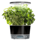 AeroGarden Harvest Elite 360