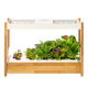 Click & Grow 25