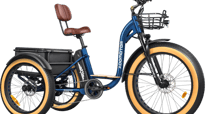 Addmotor Grandtan M 340 Assembly Tutorial & Operations Guide