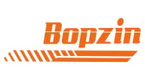 Bopzin M2000 60V Fat Tire Electric Motorcycle for Adult Unboxing Video