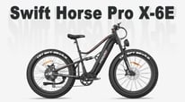 What&rsquo;s Inside the Freesky Swift Horse Pro X-6E Manual? Watch Now