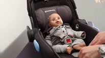 All About Uppababy Mesa